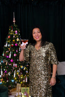 Manalina Sequin Dress