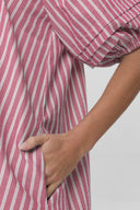 Aviaja Striped Mini Dress