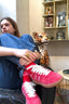 Goal Red Love Sneakers