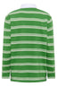 bejse-gestreept-polo-hemd-mint-green-white-stripe-culture-productfoto-achteraanzicht-1