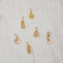 Leopard Coin Earrings