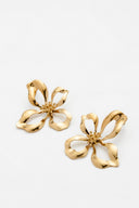 amaryllis-oorbellen-gold-sweet-like-you-productfoto-vooraanzicht-3
