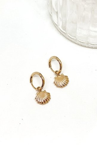 Shell Earrings Gold Sweet Like You